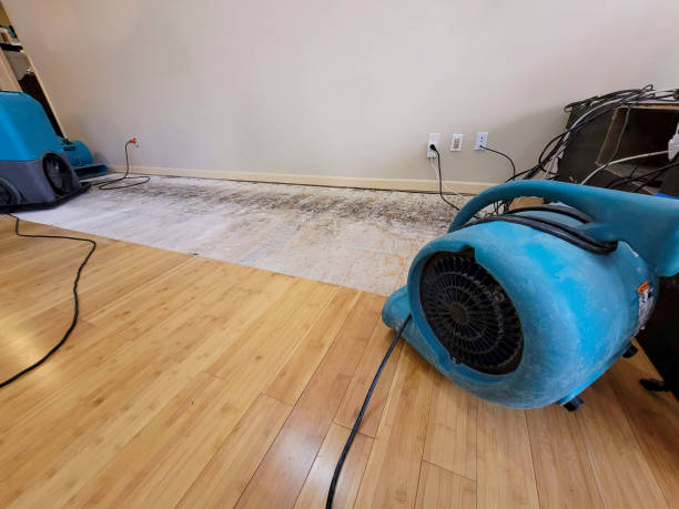 Professional Flood Damage Cleanup technician working in Mount Vernon, TX
